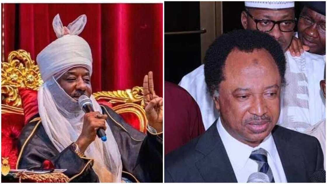 Shehu Sani speaks about heavy security presence at Kano palace