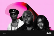 Wizkid Davido and Ayra Starr Lead Nigerias Spotify Wrapped 2025