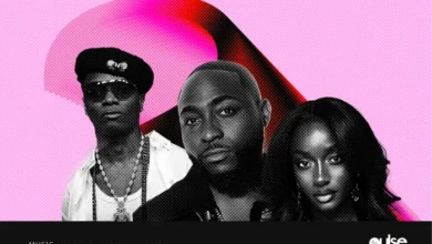 Wizkid Davido and Ayra Starr Lead Nigerias Spotify Wrapped 2025